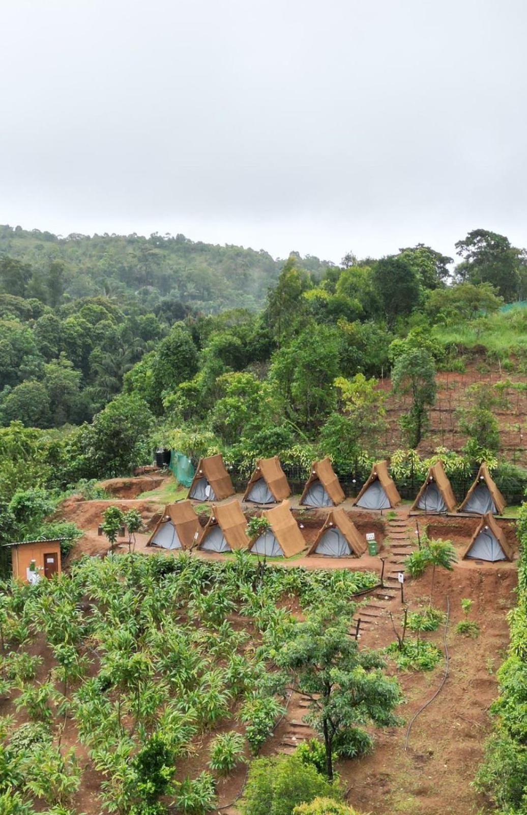 Tent Life วากามอน ภายนอก รูปภาพ